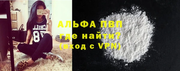 тгк Магас